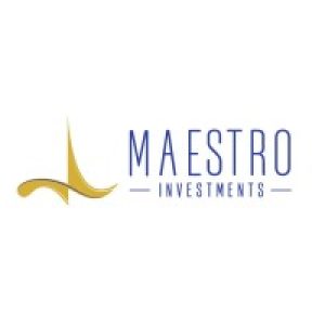 Maestro investments
