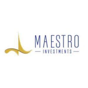 Maestro investments